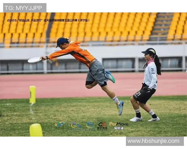 陈伟独家分享飞盘技巧与心得体会助你提升飞盘水平的实用指南