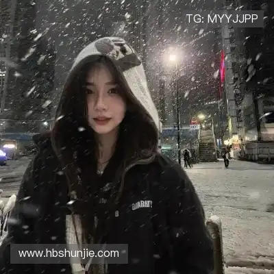 嵇蒙飚